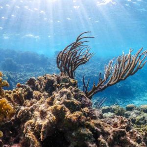 san-blas-catamarano-cush-gallery-24